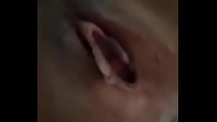 bướm đẹp Thumb