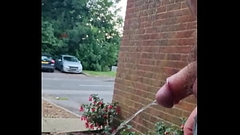 Chubby Gay Guy taking a risky piss outside Thumb
