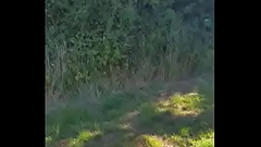 gay crossdresser takes a walk in public dressed up like a girl but soon runs away when he hears two people near by Thumb