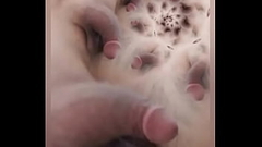 Hipnosis 2 para mamar penes y semen (Hypnosis Spanish part 2 to suck penises and semen) Thumb