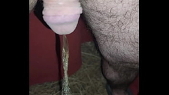 Kaso221 - short piss outside at 6am Thumb