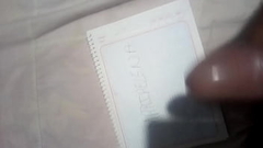 Para Mar&iacute_a Elena Thumb