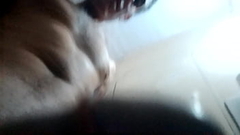Z&eacute_ rolao Thumb