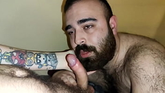 Oso peludo me come la polla y los huevos hasta correrme Thumb