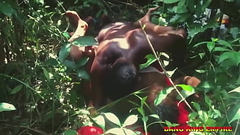 AFRICAN LECTURER FUCK SEXY COROLINA - AN AMATEUR GIRL IN THE BUSH - VIDEO LEAKED ON INTERNET PORN SITE Thumb