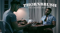 Thornbrush Bed And Breakfast Brock Banks, Nico Coopa Thumb