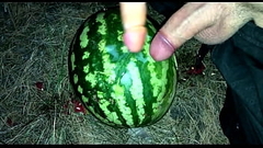 I found a WATERMELON in the forest and fucked it with two members / Male orgasm / Russian dirty talk / Dildo Thumb