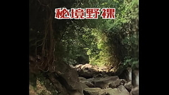 秘境一野裸天体玩屌龟责潮吹潮喷潮射 Thumb