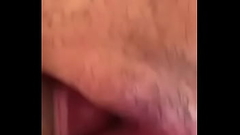 O vizinho voltou Thumb