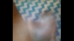 Curtis Clarke  cumin for the lady'_s Thumb