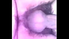 Gay Boys Bear Mexico Thumb