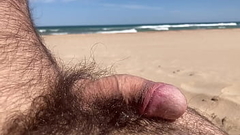 recibiendo la brisa del mar en bolas Thumb
