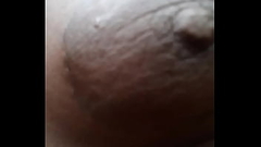 Areola Royal enjoying the drizzle Thumb