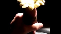 Florcita primaveral Thumb