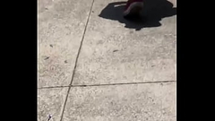 Nalgona en short caminando por calles de la CDMX Thumb