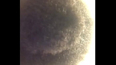 I Ain&rsquo_t No Bald Headed Crusty Lip Bitch Here I Can Put My Hair In A Bun!! Thumb