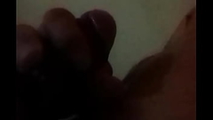 Paja ma&ntilde_anera de un fan Thumb